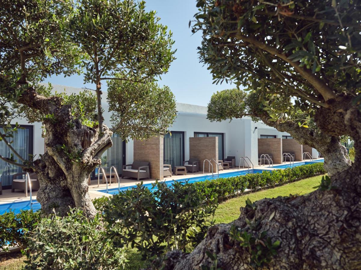 Cavo Orient Beach Hotel & Suites Drosia  Dış mekan fotoğraf